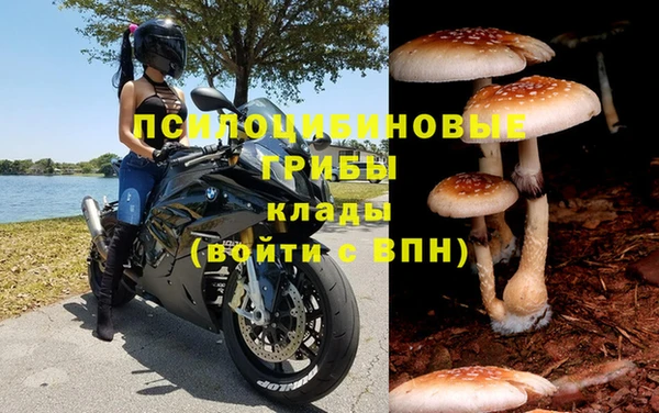 МДПВ Армянск