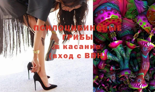 стаф Балахна