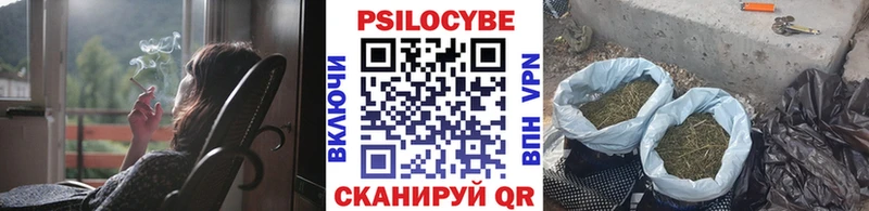 Псилоцибиновые грибы прущие грибы  kraken зеркало  Улан-Удэ  закладка 