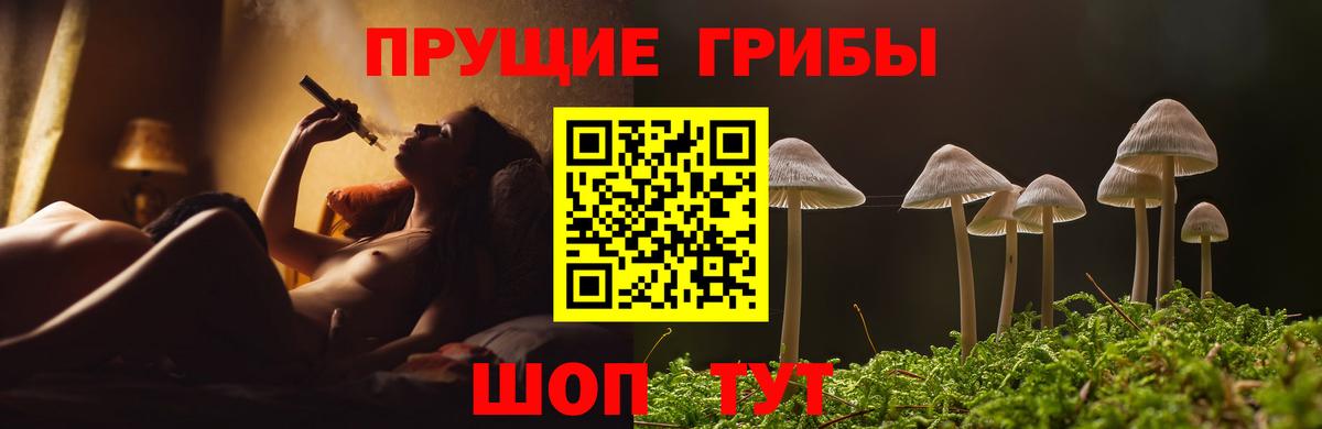 Галлюциногенные грибы Cubensis Улан-Удэ